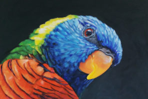 BoW – The Rainbow Lorikeet
