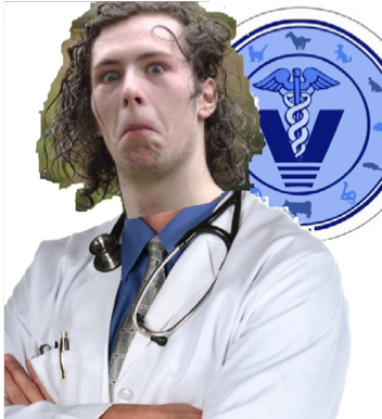 dollie doctor